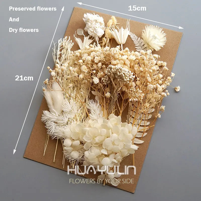 1 Pack Artificial Plants Dried Real Flowers Preserved Materials Epoxy Resin Candles DIY Floral Materials Hydrangea Set Flowers