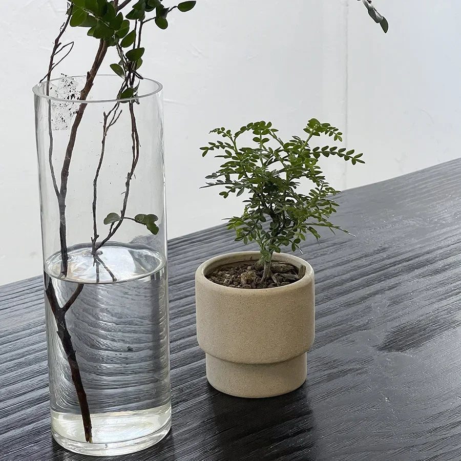 Ceramic Flower Pot Green Plant Potted Plant  Tabletop Coffee Shop Decoration Garden Supplies Planters