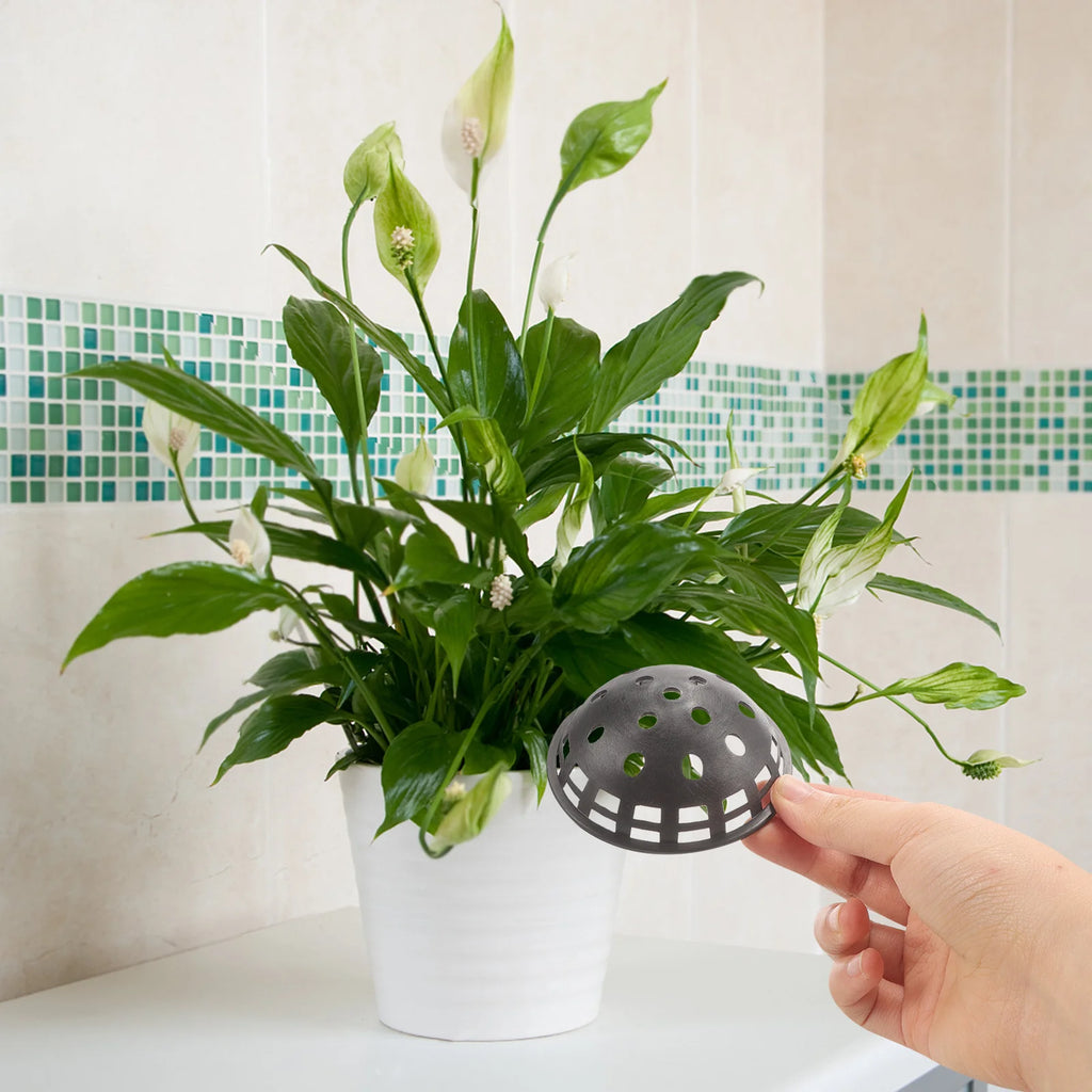 10pcs Planter Hole Mesh Mat Breathable Drainage Gasket For Flower Pot Bottom Prevent Soil Leakage Plastic Mesh Pad Garden Plant