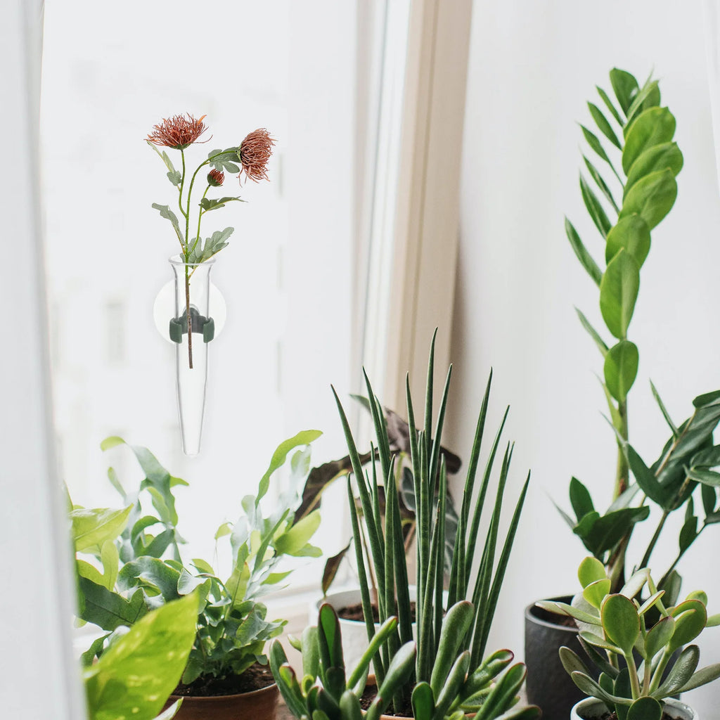 8Pcs Suction Cup Flower Water Tubes Plastic Nutrient Vials for Florist Arrangement Flower Preservation Vase Storage