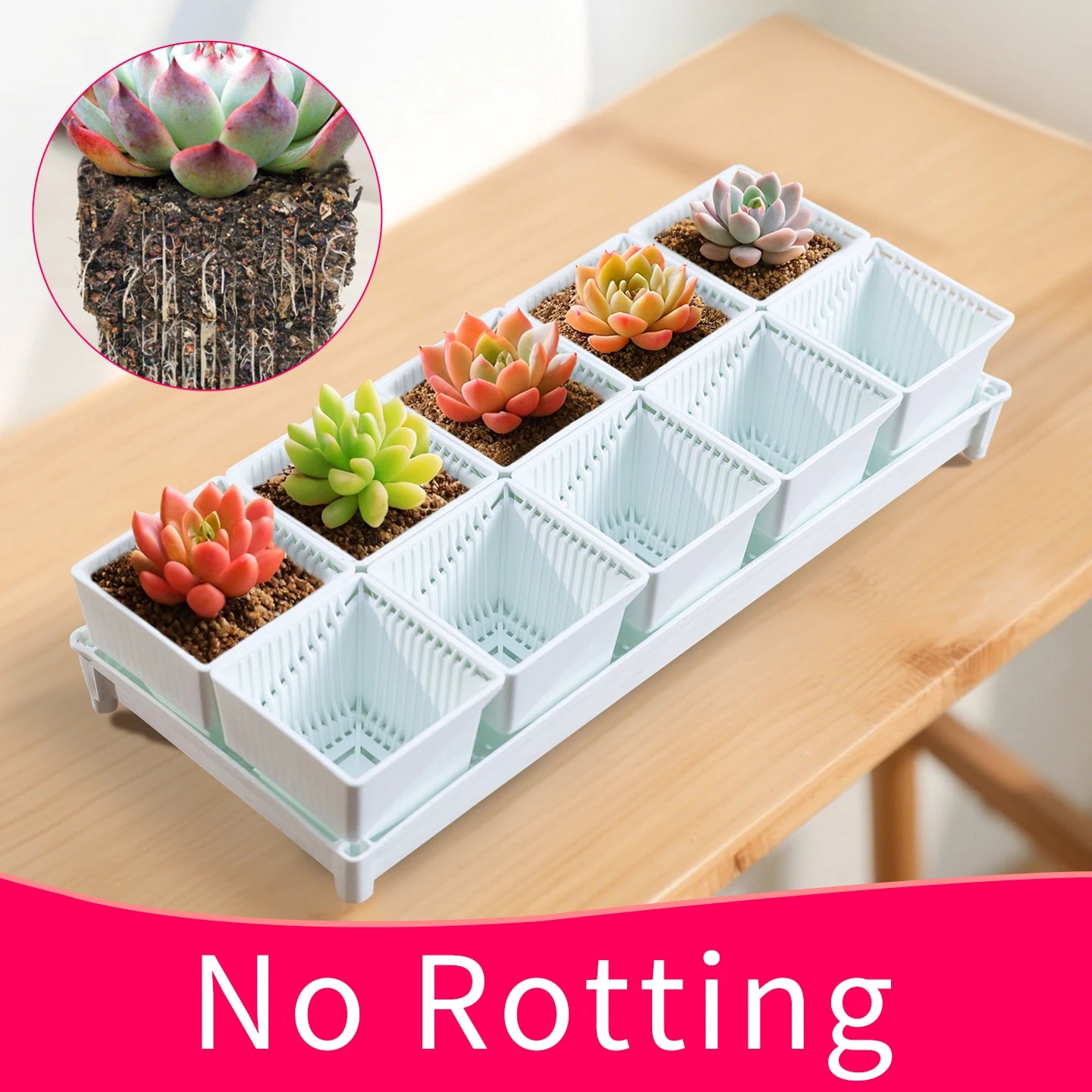 Meshpot Square Succulents Planter Pots With Tray Set,Nursery Pot Cactus Plant Pot Garden Plastic Pot Multi Size