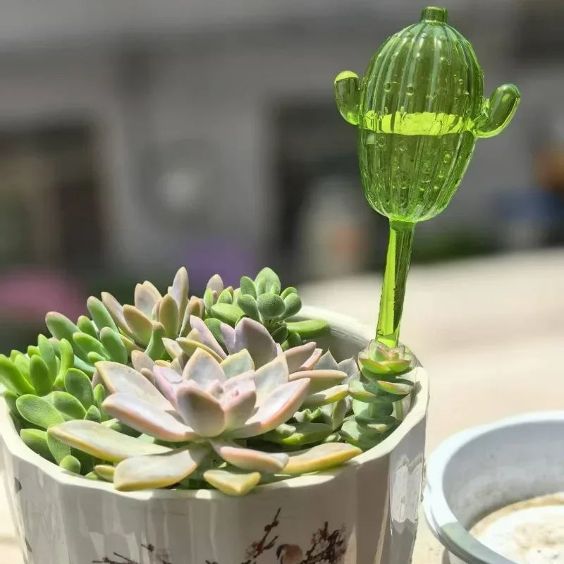 Unique Clear Plant Watering Can Cactus Shape Auto Irrigation Device Efficient Flows Water Tool Supply Outdoors Garden Equipment