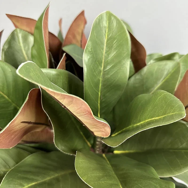 2pcs Artificial Flowers Magnolia Leaf Green Plants Plastic Simulation Magnolias Leaves Plant Floral Home Balcony Decoration