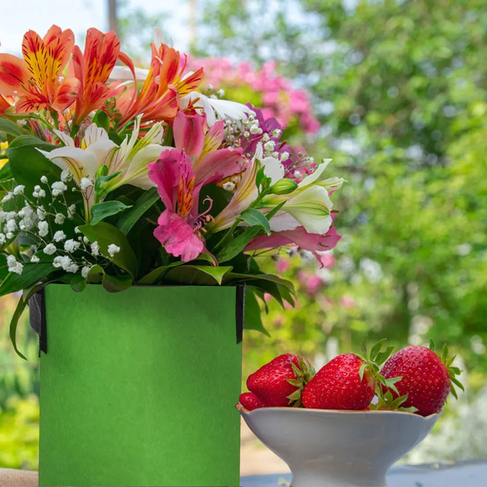 1-30 Gallon Green Garden Fabric Grow Bags with Handles for Courtyard Plant Vegetable Flower Planter Container Nursery Grow Pots