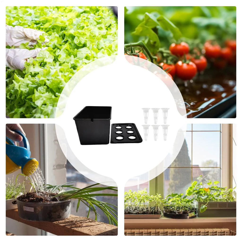 Hydroponics Growing System Kit 6-Holes Cultivation System Garden Cultivation Box For Vegetables Flowers Fruits Indoor Outdoor