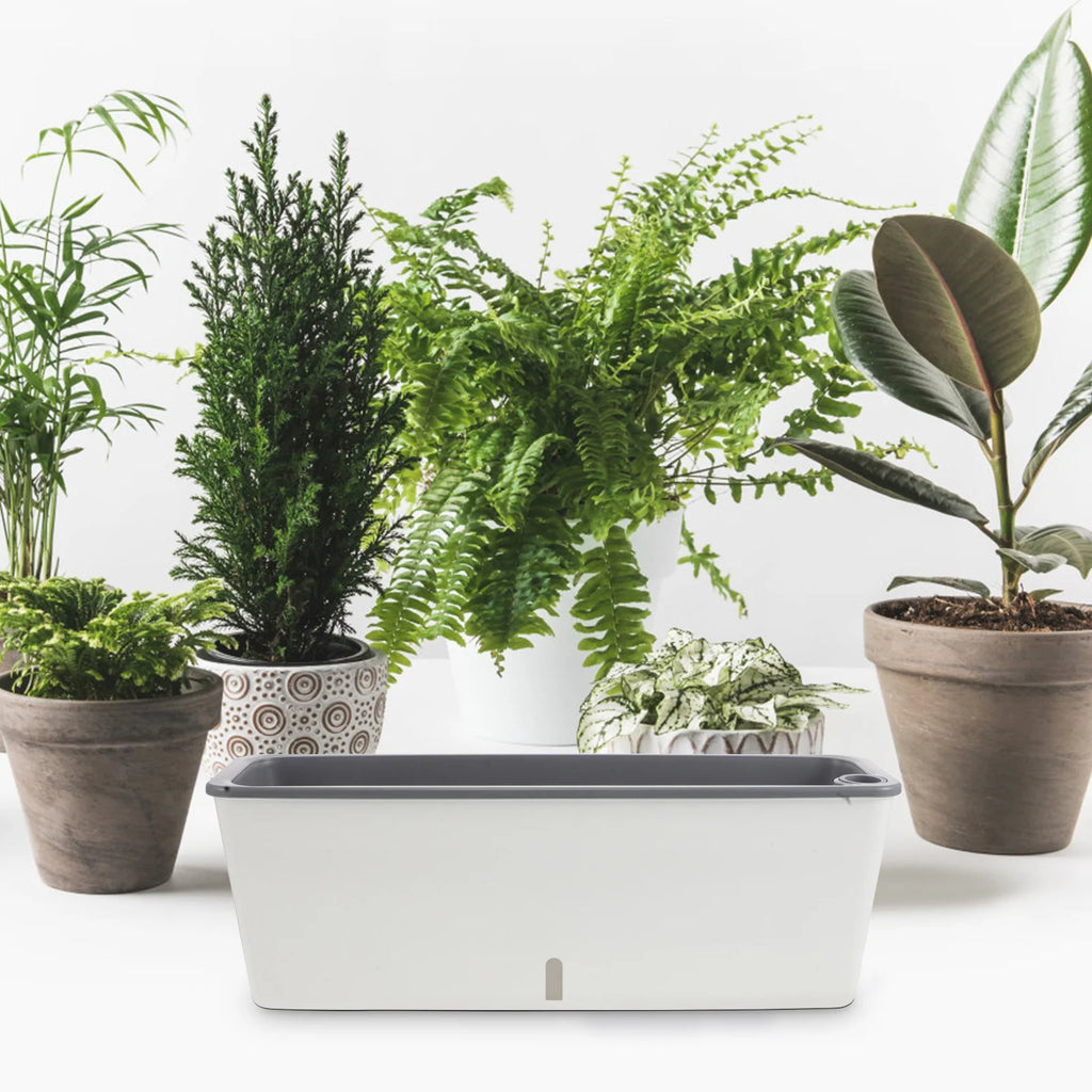 Plastic Rectangular Window Planter Pot Water Storage Balcony Windowsill Gardening Vegetable Herb Flower Plastic Planter Box