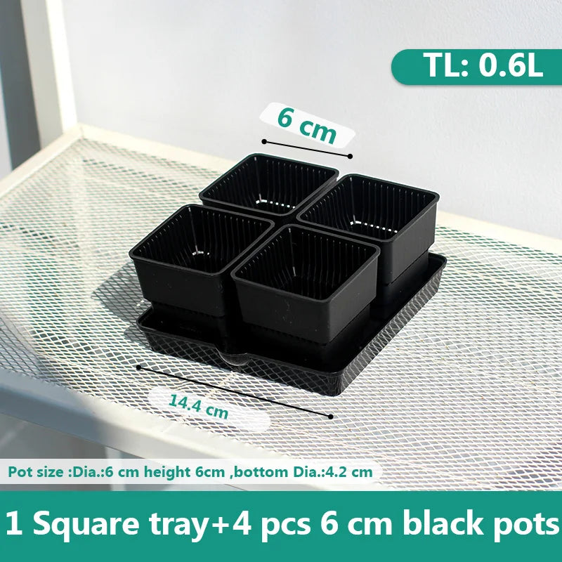 Meshpot 6cm/7cm Succulents Pot Plastic Flower Pot Cactus Planter Root Controlling Good Air System Garden Supplies Home Dec