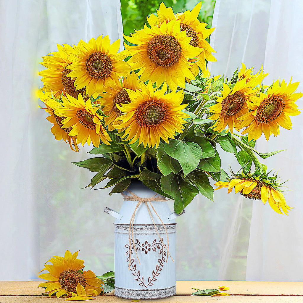 1Pcs Heart Pattern Iron Flower Pot Plant Holder Sturdy Home Ornament Desktop Planter Garden Vase Flower Bottle