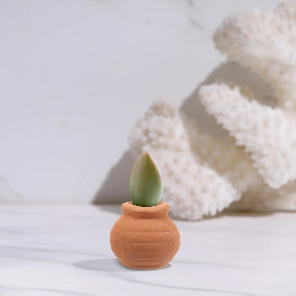 8 Pcs Mini Terracotta Flower Pots Thumb Succulent Planters Small Clay Pot For Garden Dollhouse Pottery Container Gift