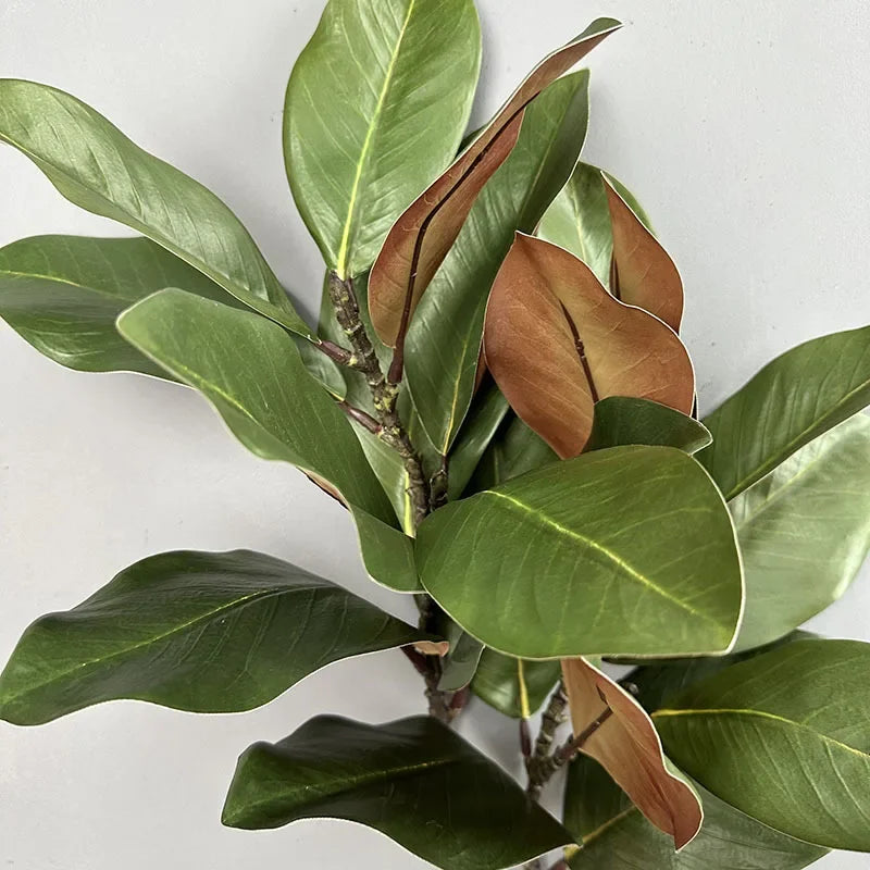 2pcs Artificial Flowers Magnolia Leaf Green Plants Plastic Simulation Magnolias Leaves Plant Floral Home Balcony Decoration