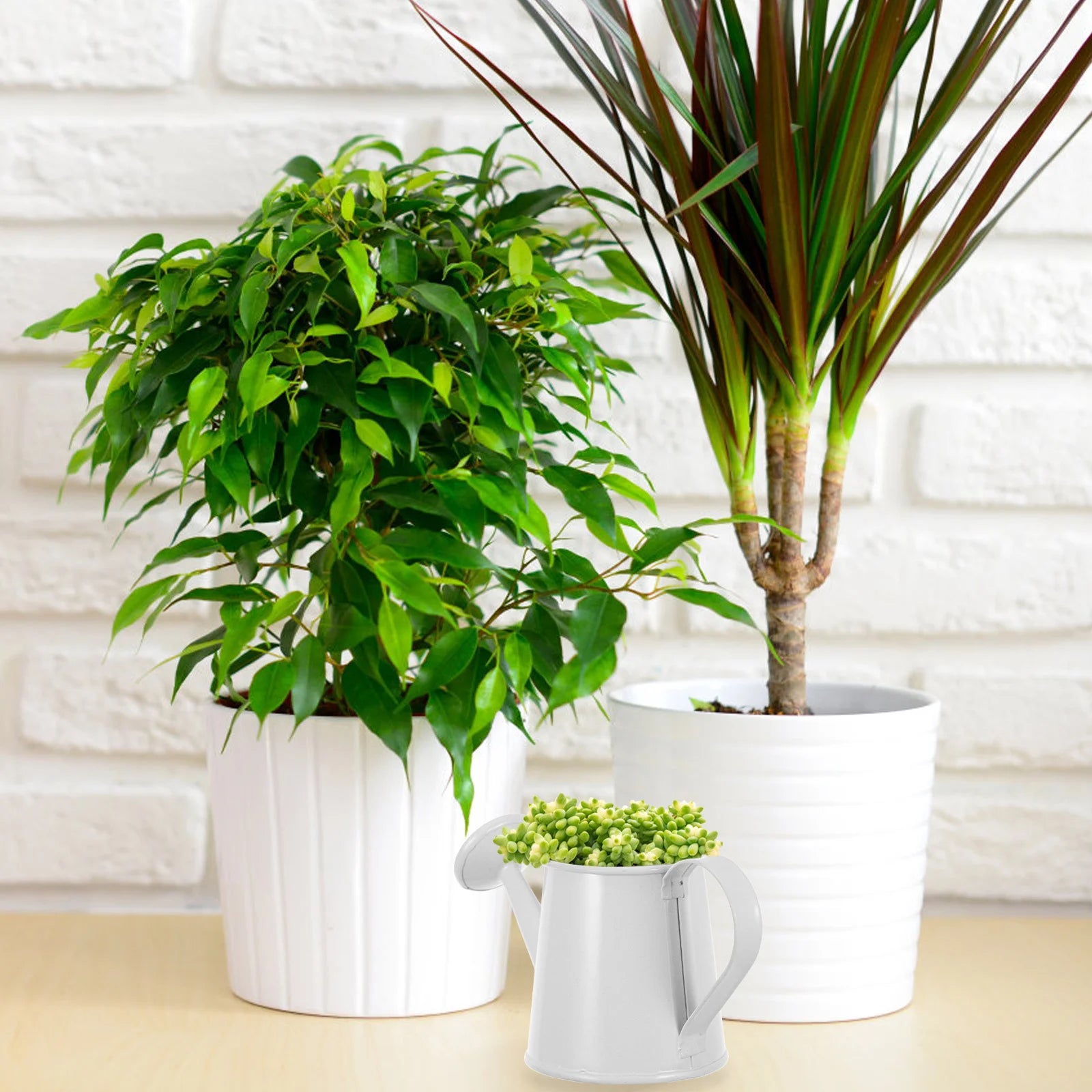 Mini Decorative Watering Can 5x6x6 White Iron for Plants Succulents Gardening Accessories Miniature Pot Portable Small Space