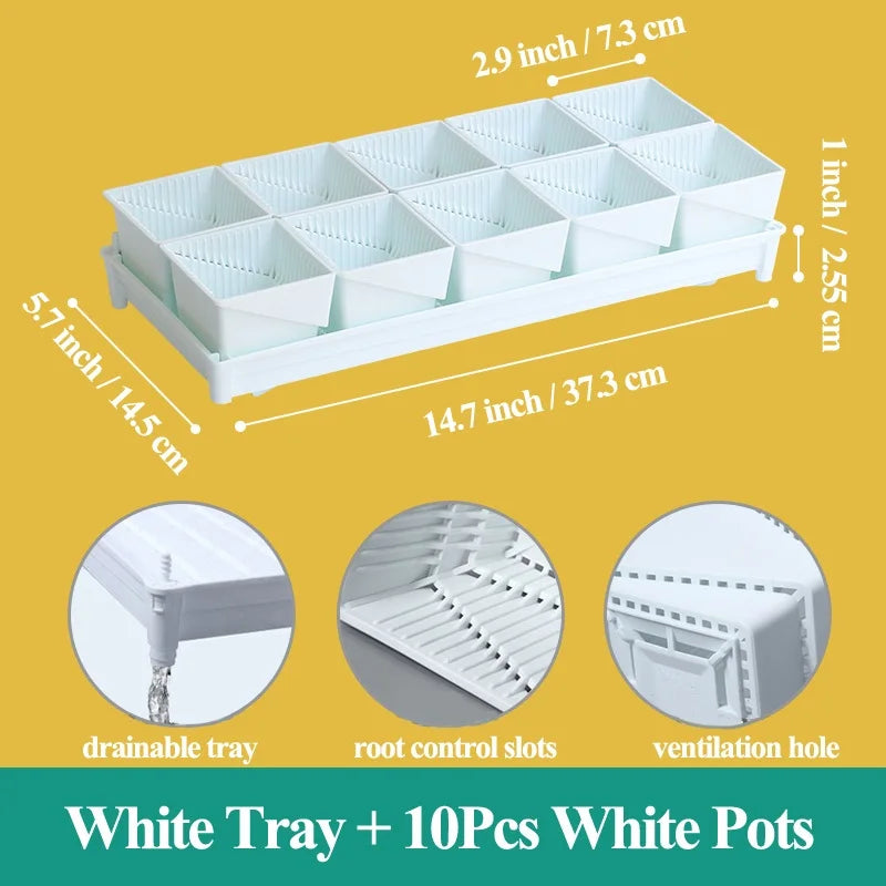 Meshpot Square Succulents Planter Pots With Tray Set,Nursery Pot Cactus Plant Pot Garden Plastic Pot Multi Size