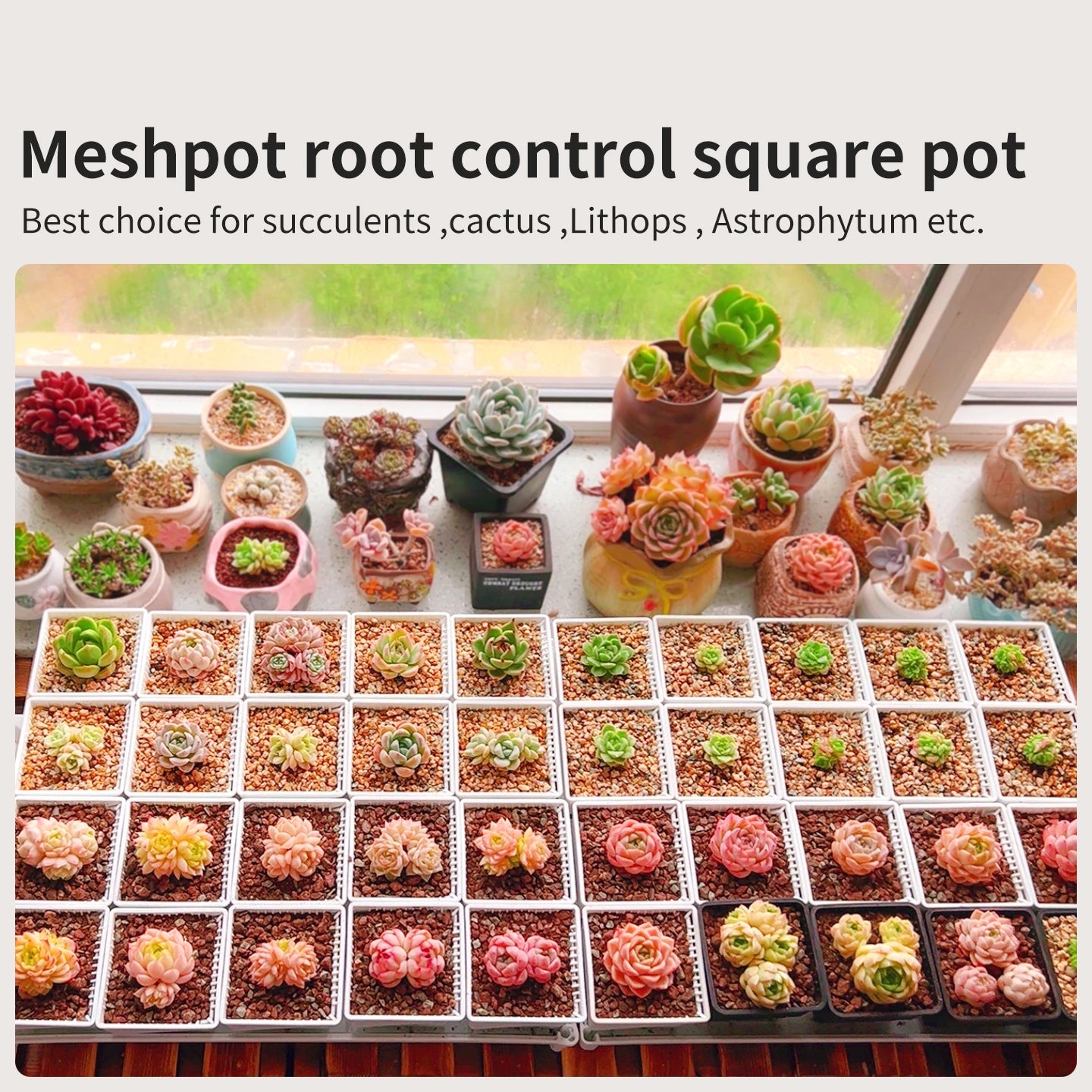 Meshpot Square Succulents Planter Pots With Tray Set,Nursery Pot Cactus Plant Pot Garden Plastic Pot Multi Size