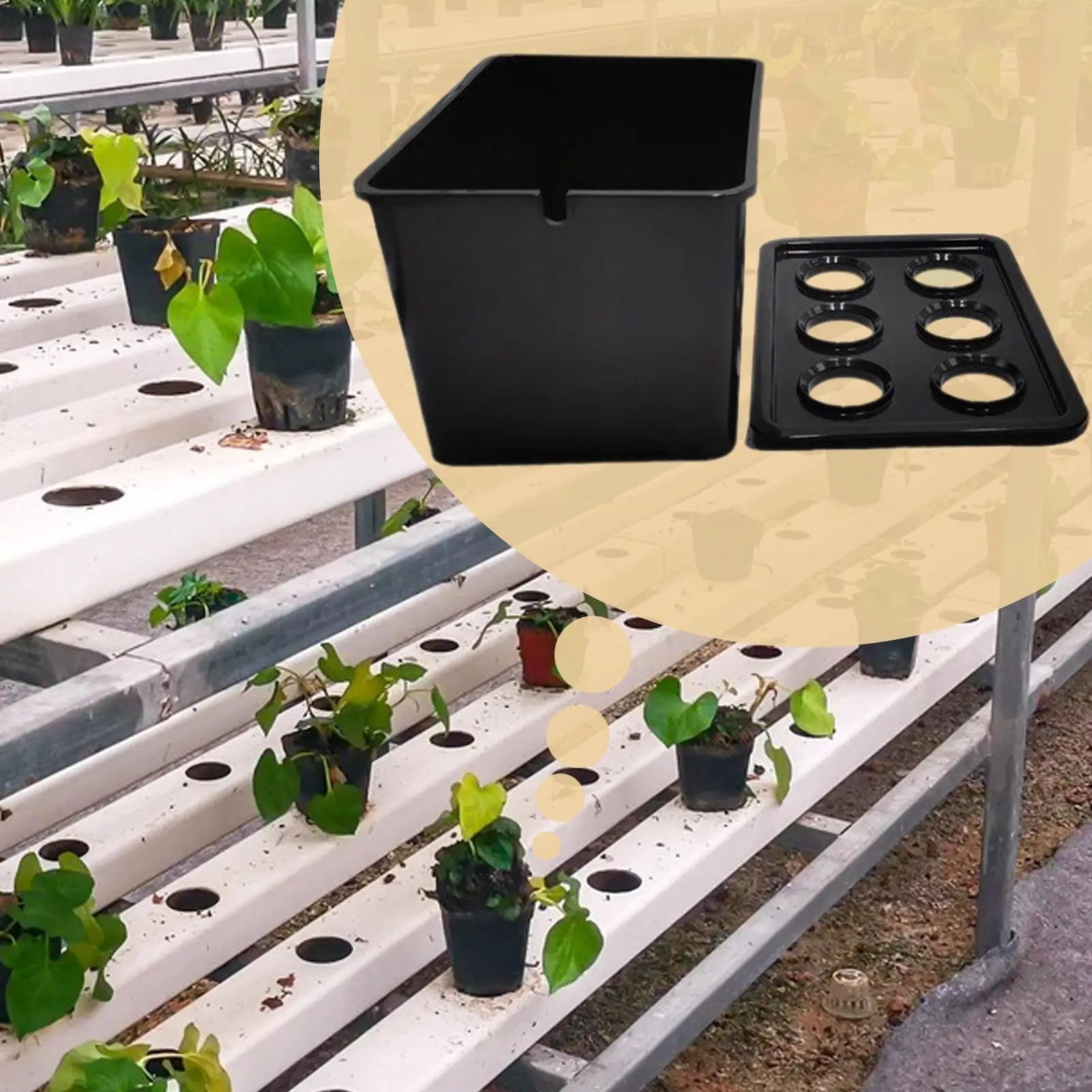 Hydroponics Growing System Kit 6-Holes Cultivation System Garden Cultivation Box For Vegetables Flowers Fruits Indoor Outdoor