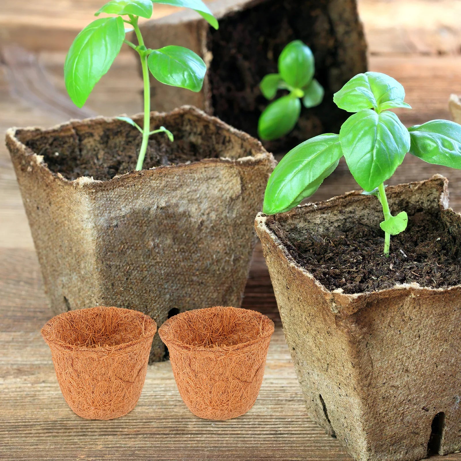 12pcs Coconut Coir Liner For Planters Natural Fiber Succulent Flower Pot Mini Garden Basket Planter Container Garden Plant