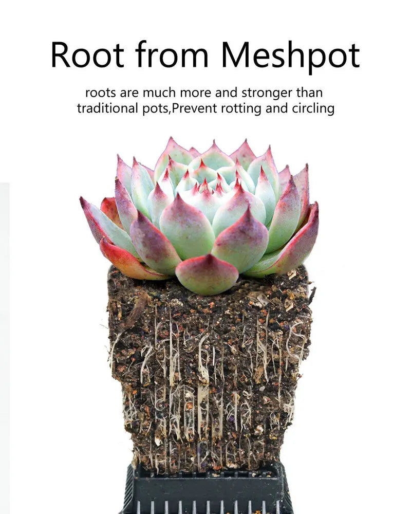 Meshpot 6cm/7cm Succulents Pot Plastic Flower Pot Cactus Planter Root Controlling Good Air System Garden Supplies Home Dec