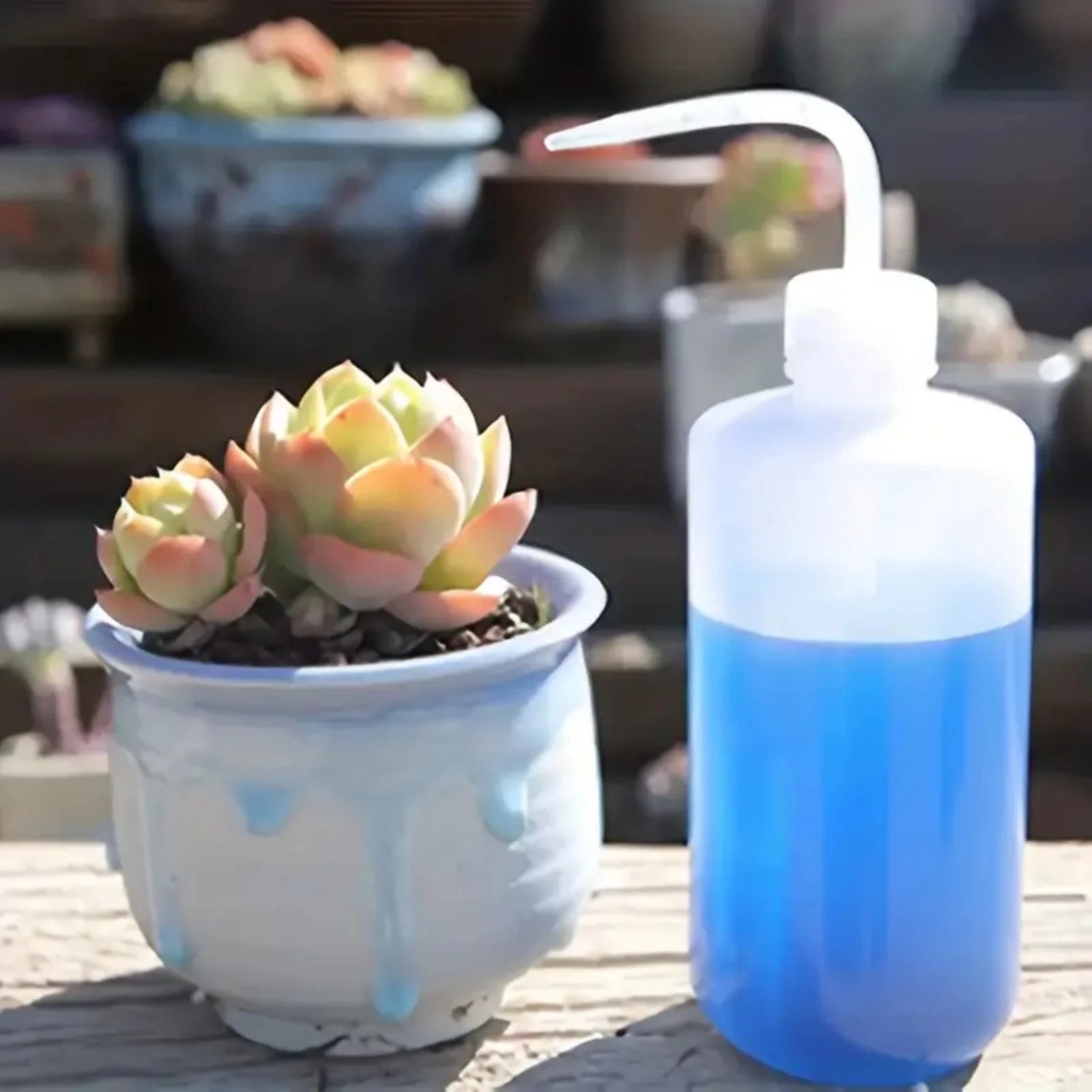 Water Spray Bottle 150/250/500ml Plant Flower Watering Can Plastic Liquid Container Garden Pot Irrigation Squeeze Sprinkler Tool