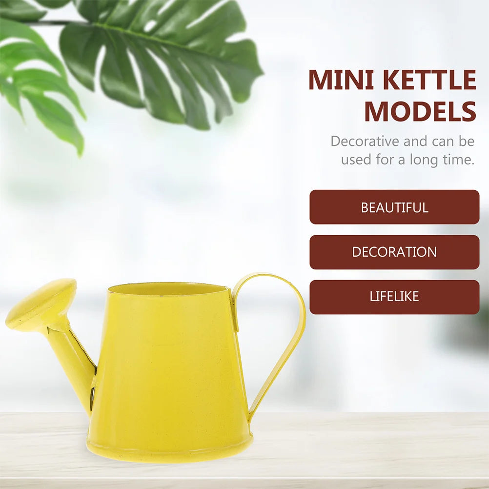 4Pcs Mini Watering Can Kids Portable Metal Small Plant Flower Garden Watering Mini Kettle for Plants Small Water Pot Plant