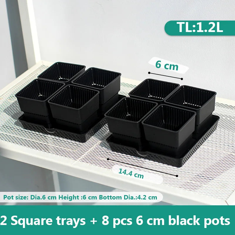 Meshpot 6cm/7cm Succulents Pot Plastic Flower Pot Cactus Planter Root Controlling Good Air System Garden Supplies Home Dec