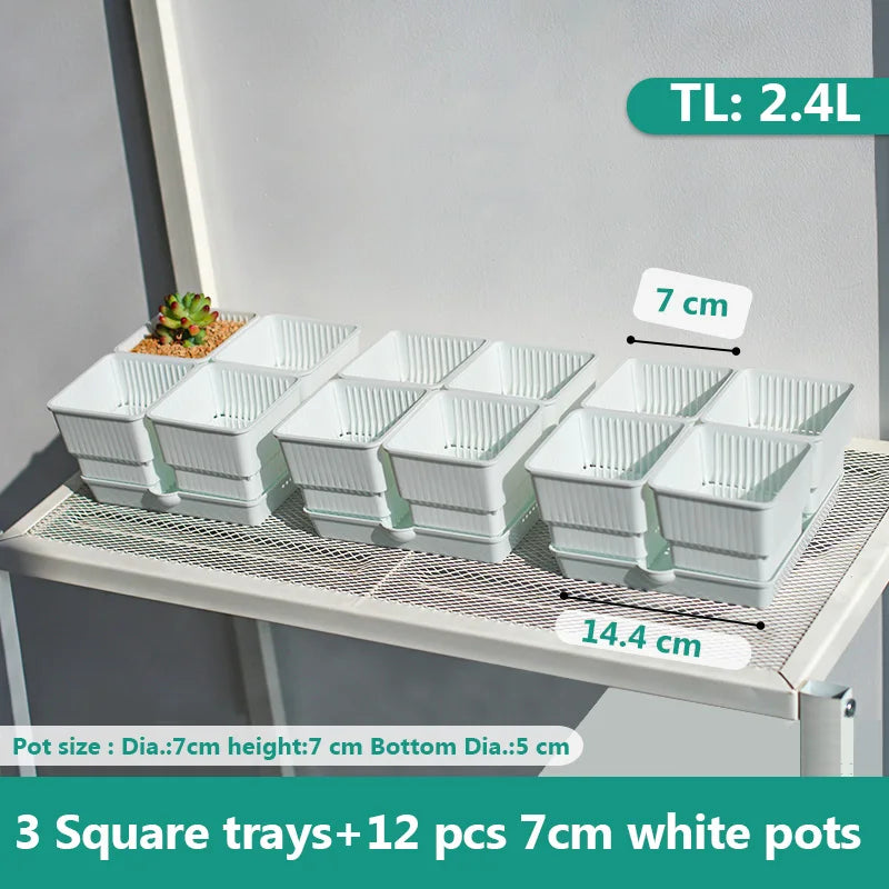 Meshpot 6cm/7cm Succulents Pot Plastic Flower Pot Cactus Planter Root Controlling Good Air System Garden Supplies Home Dec