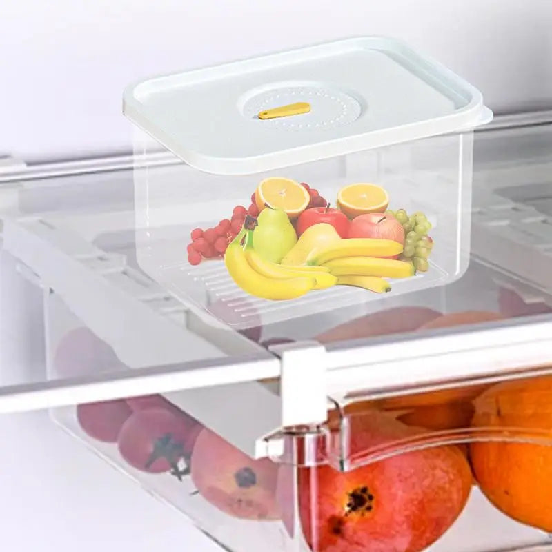 Meat Storage Containers Lunch Meat Saver Clear Lunch Meat Saver Airtight Fridge Cheese Keeper Box For Fruits Vegetables Meat