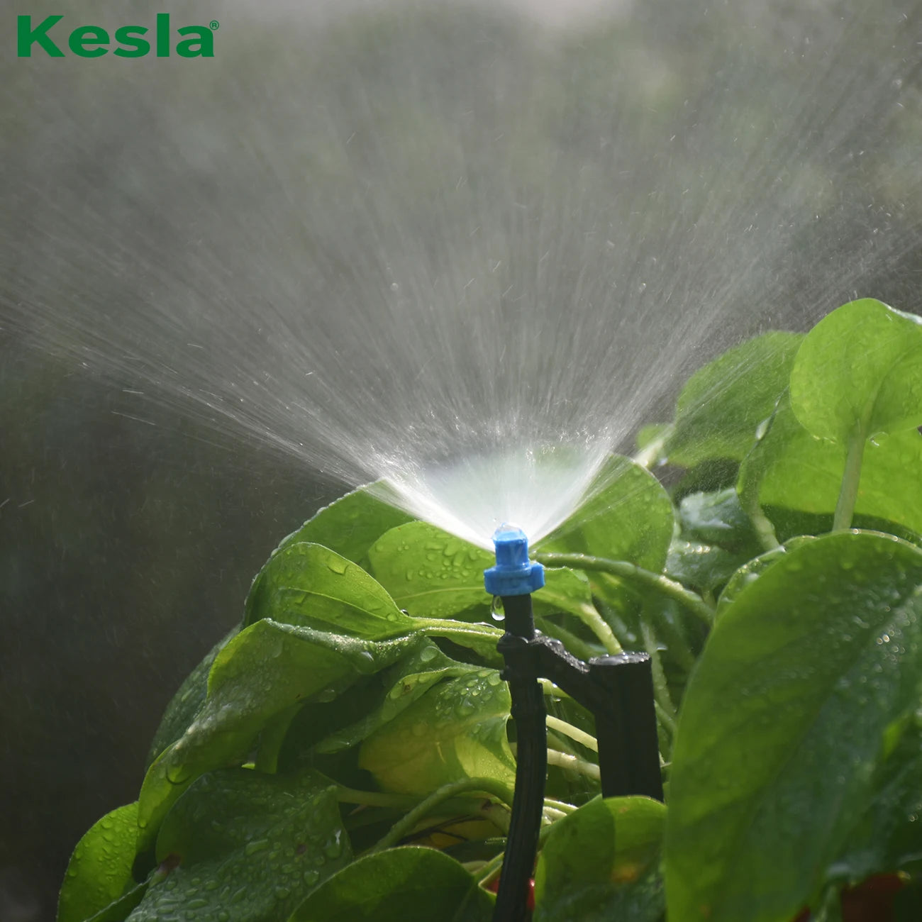 KESLA 20PCS 90/180/360 Degree Misting Nozzle 13cm Stake 1/4'' Barb  Drip Irrigation Watering Garden Flower Irrigation Sprinkler