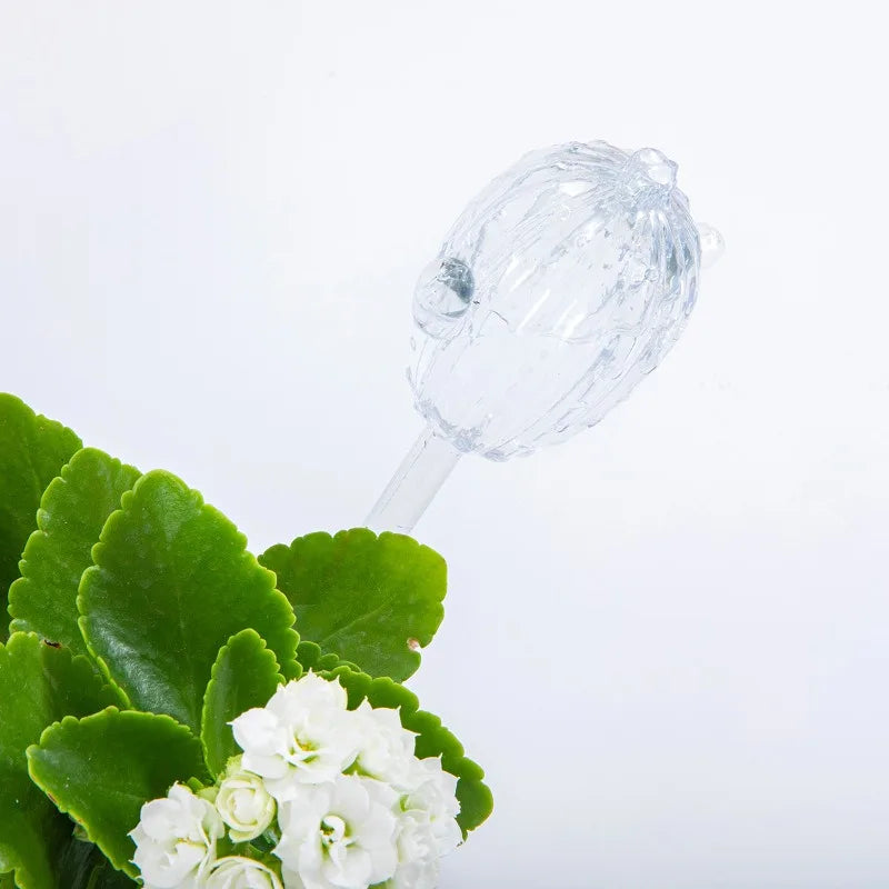 Unique Clear Plant Watering Can Cactus Shape Auto Irrigation Device Efficient Flows Water Tool Supply Outdoors Garden Equipment