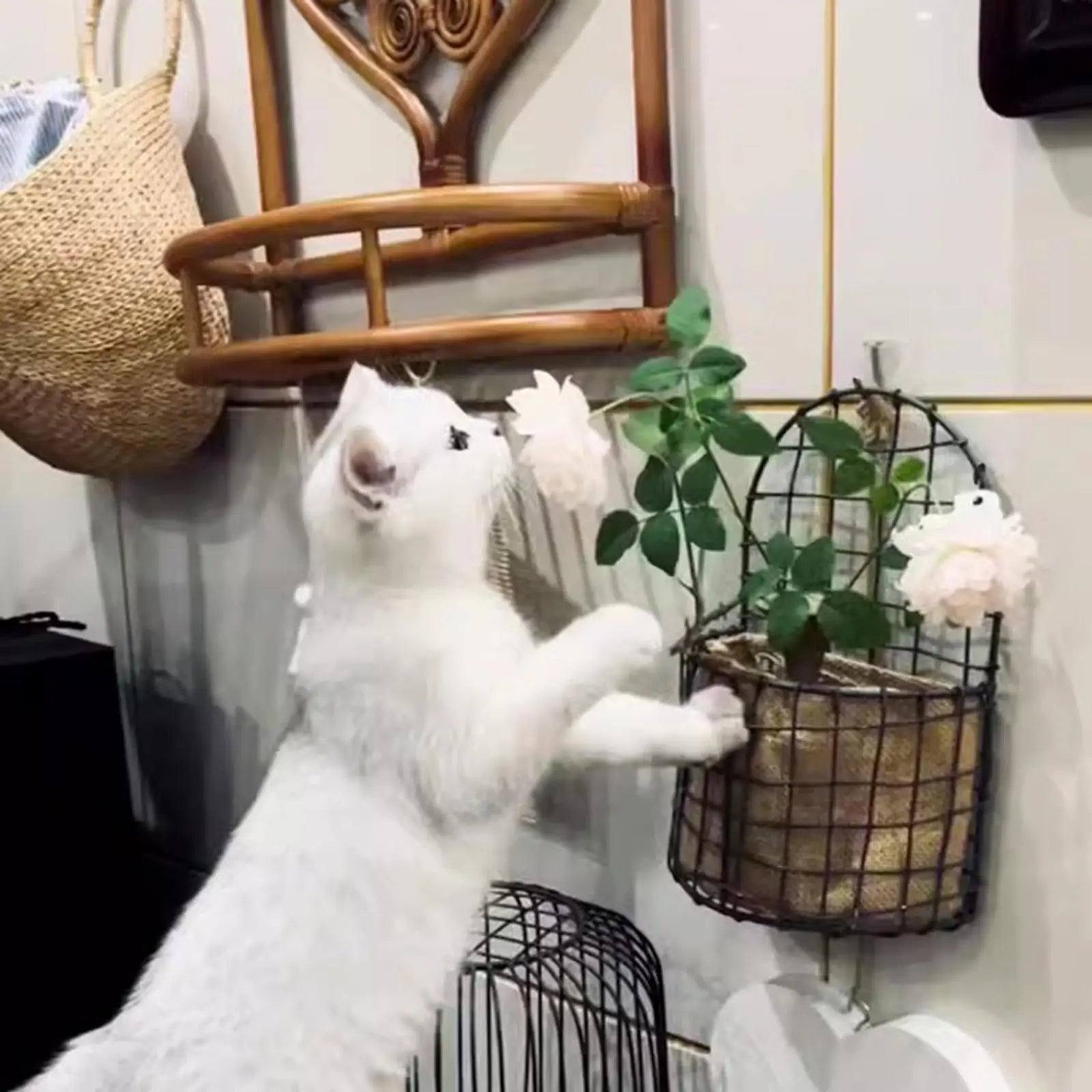 Wall Mounted Basket Hanging Planter Flower Pot Stand Iron Wire Mesh Basket for Garden Balcony Yard Backyard Retro Design Storage