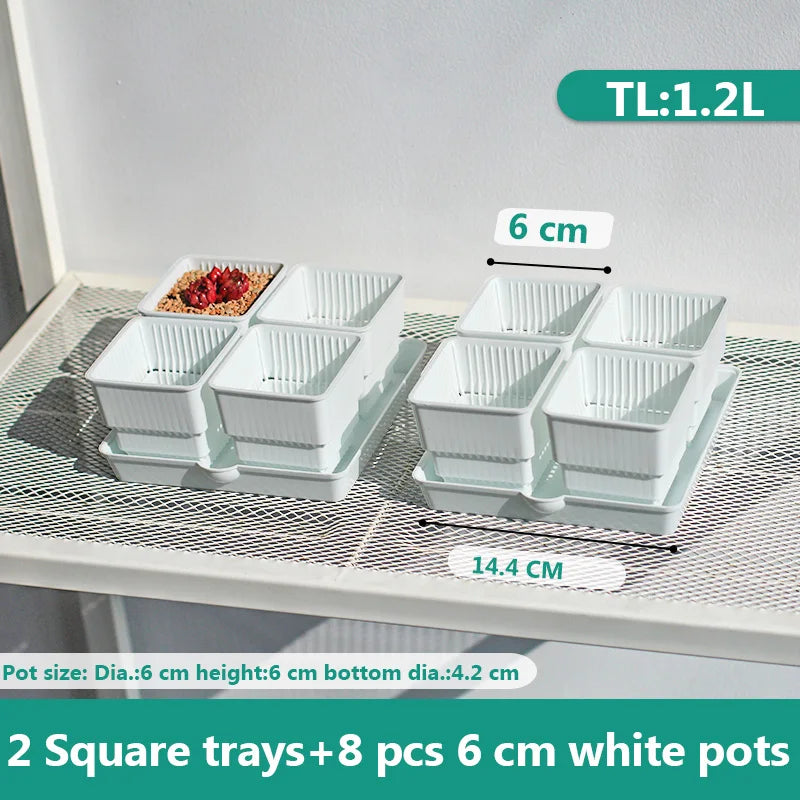 Meshpot 6cm/7cm Succulents Pot Plastic Flower Pot Cactus Planter Root Controlling Good Air System Garden Supplies Home Dec