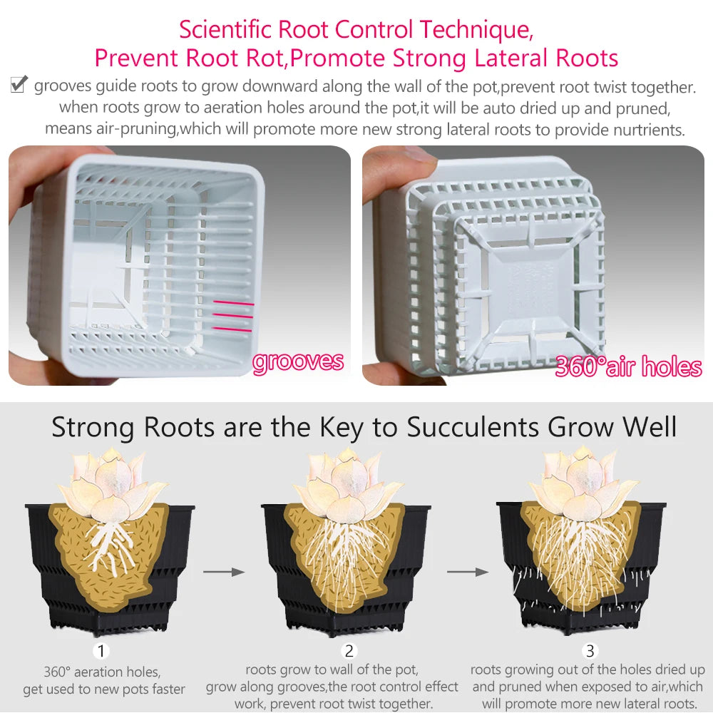Meshpot Square Succulents Planter Pots With Tray Set,Nursery Pot Cactus Plant Pot Garden Plastic Pot Multi Size