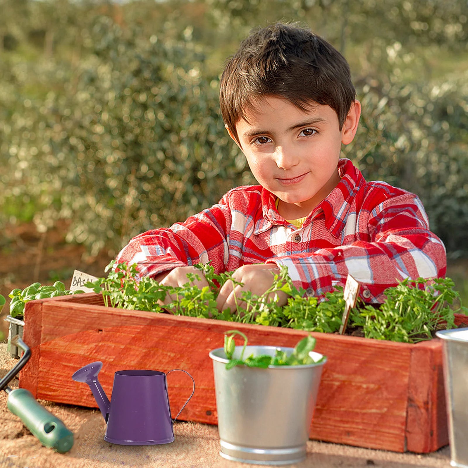 4Pcs Mini Metal Watering Can Set Colored Iron Flower Watering Pots for Kids Indoor Outdoor Plants Bonsai Gardening