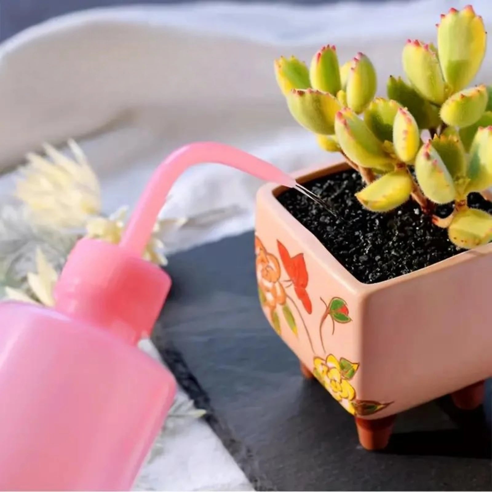 Water Spray Bottle 150/250/500ml Plant Flower Watering Can Plastic Liquid Container Garden Pot Irrigation Squeeze Sprinkler Tool