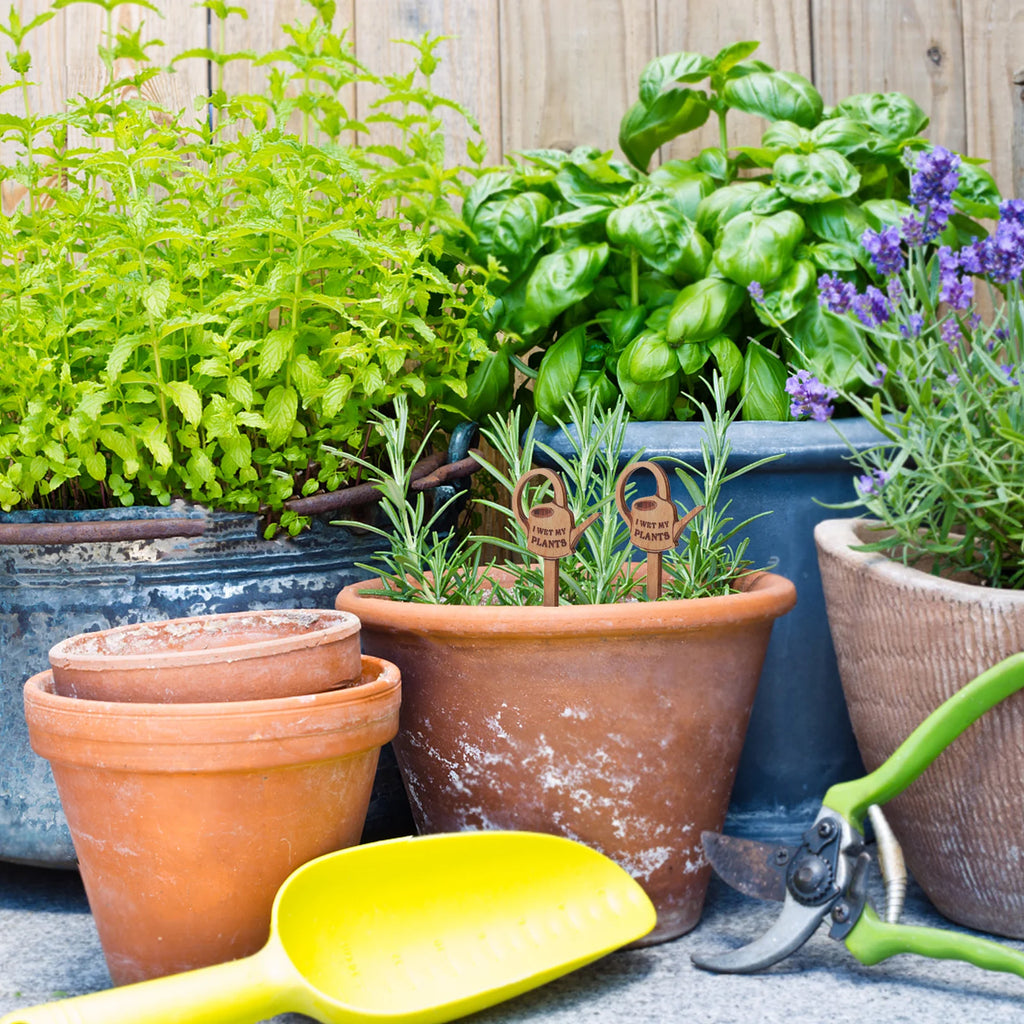 2 Pcs Small Plant Potted Plants Garden Markers Compact Stakes Mini Watering Can Pots Identification Labels Wooden