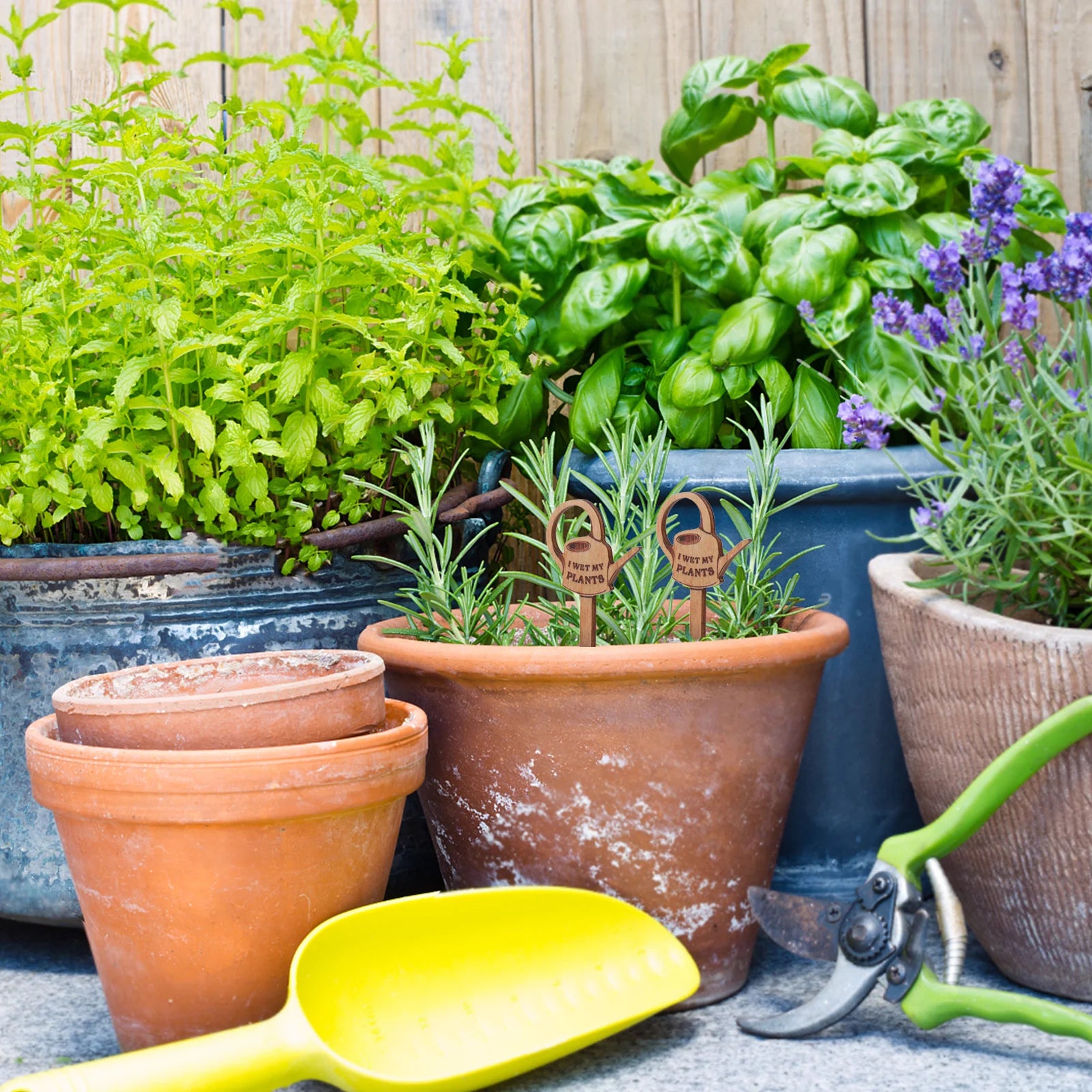 2 Pcs Small Plant Potted Plants Garden Markers Compact Stakes Mini Watering Can Pots Identification Labels Wooden