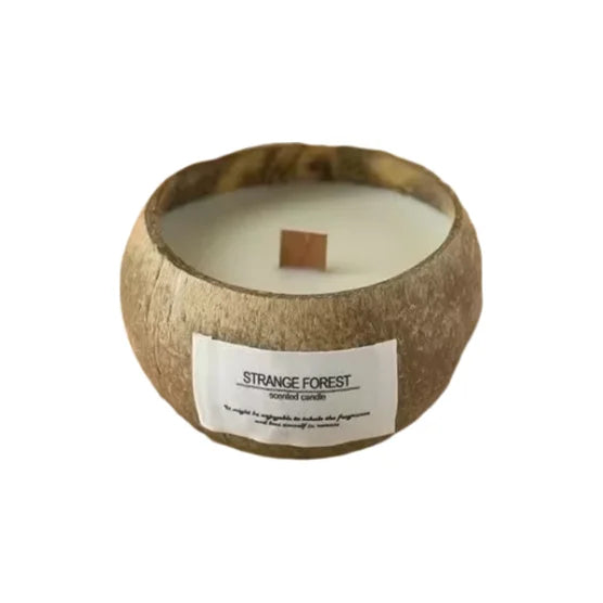 Natural Coconut Shell Scented Candle, Aromatherapy Plant Essential Oil Candle, Ins - Style Home Ambient Decor Ornament