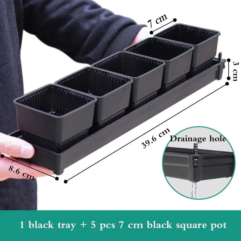 Meshpot Square Succulents Planter Pots With Tray Set,Nursery Pot Cactus Plant Pot Garden Plastic Pot Multi Size