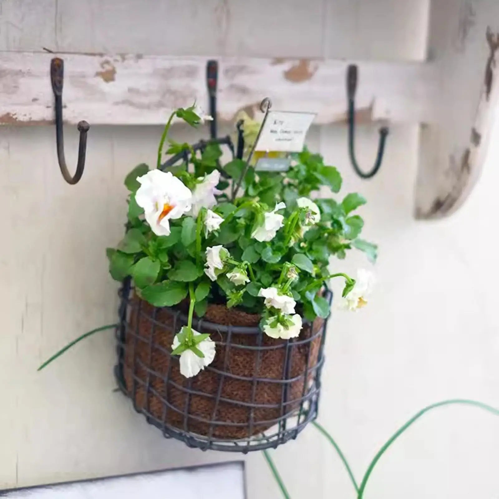 Wall Mounted Basket Hanging Planter Flower Pot Stand Iron Wire Mesh Basket for Garden Balcony Yard Backyard Retro Design Storage