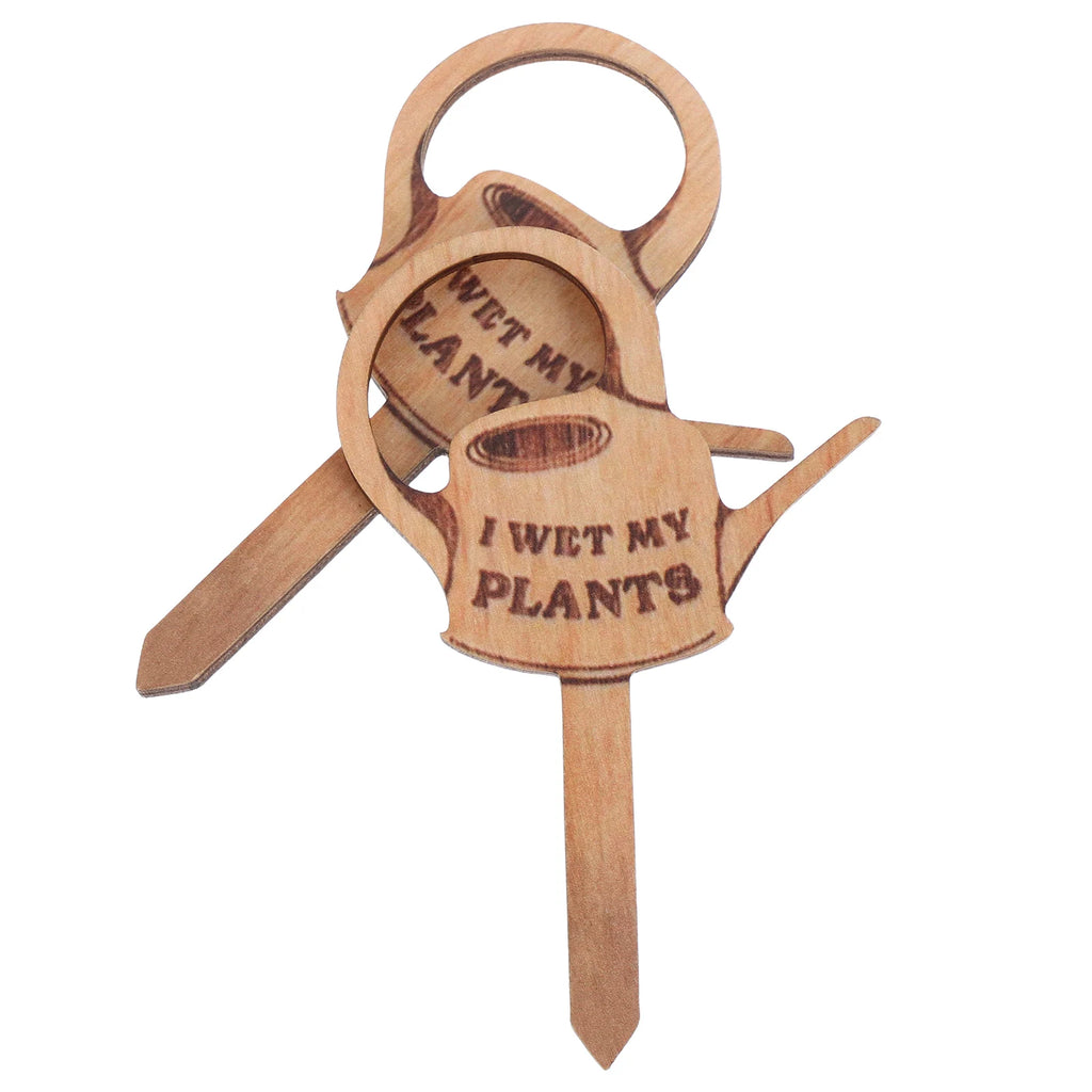 2 Pcs Small Plant Potted Plants Garden Markers Compact Stakes Mini Watering Can Pots Identification Labels Wooden