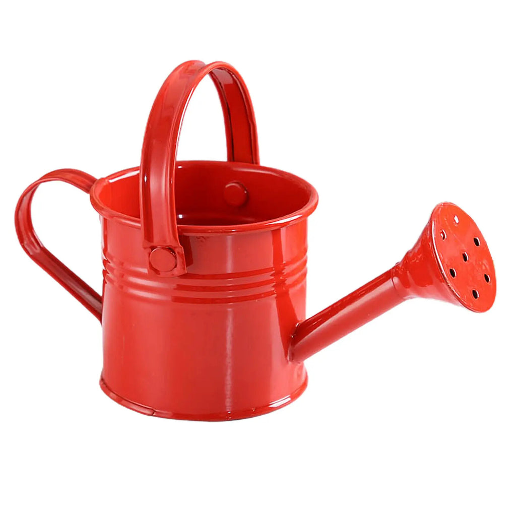 New Metal Watering Can Garden Flower Kettle Mini Small Water Spraying Pot Sprinkle with Large Capacity For Kids Adult