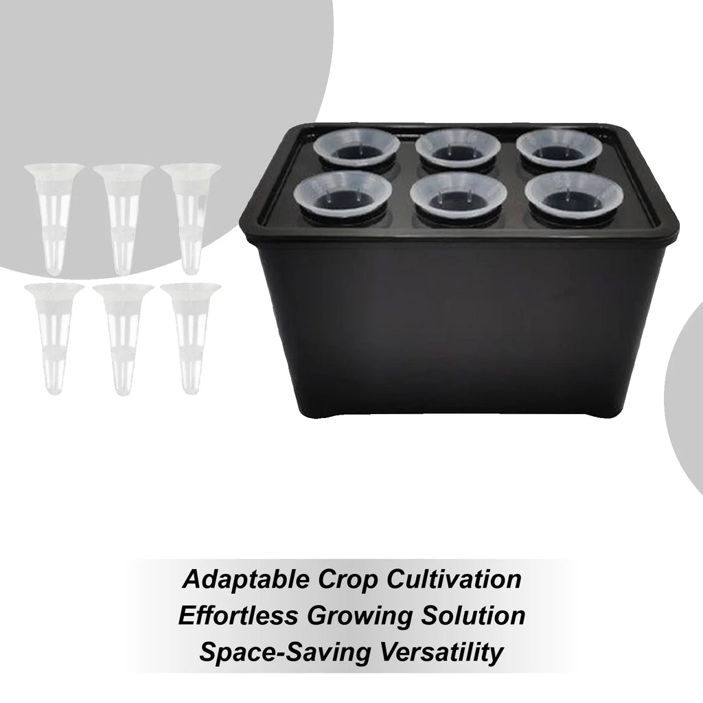 Hydroponics Growing System Kit 6-Holes Cultivation System Garden Cultivation Box For Vegetables Flowers Fruits Indoor Outdoor