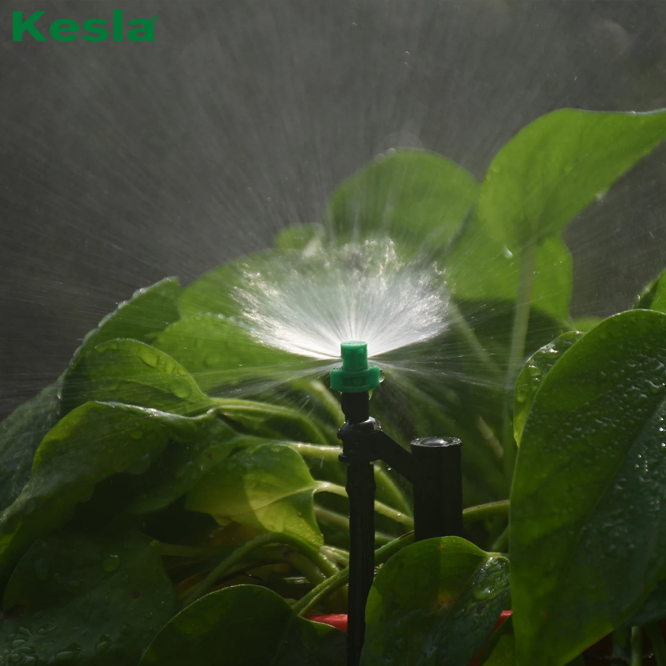 KESLA 20PCS 90/180/360 Degree Misting Nozzle 13cm Stake 1/4'' Barb  Drip Irrigation Watering Garden Flower Irrigation Sprinkler