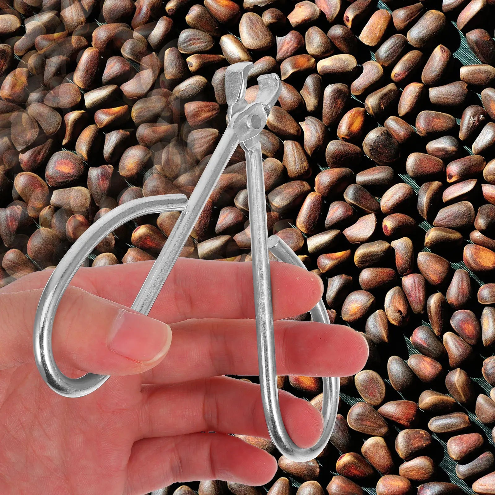 Pine Sheller Stainless Steel Nut Cracking Tool For Kitchen Walnuts Hazelnuts Pistachio Peeler Shell Remover Nut Shelling