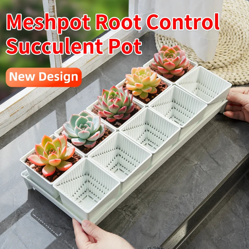 Meshpot Square Succulents Planter Pots With Tray Set,Nursery Pot Cactus Plant Pot Garden Plastic Pot Multi Size