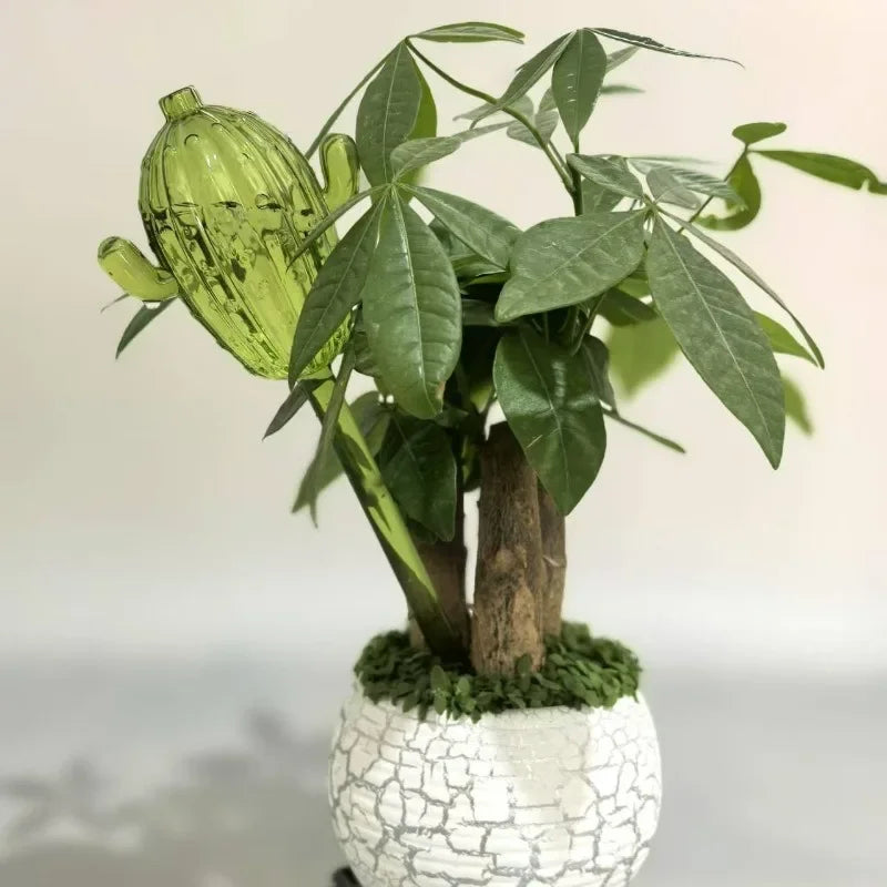 Unique Clear Plant Watering Can Cactus Shape Auto Irrigation Device Efficient Flows Water Tool Supply Outdoors Garden Equipment