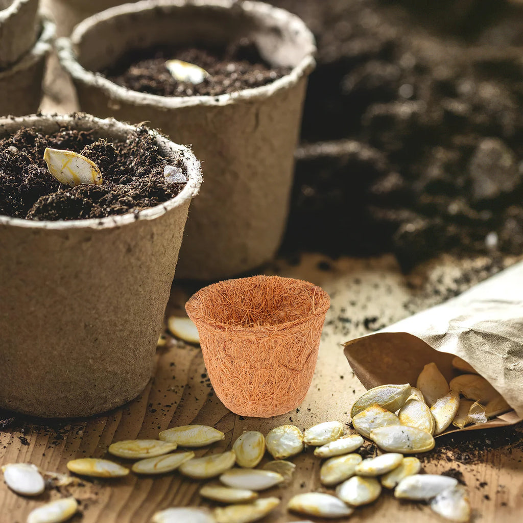 12pcs Coconut Coir Liner For Planters Natural Fiber Succulent Flower Pot Mini Garden Basket Planter Container Garden Plant