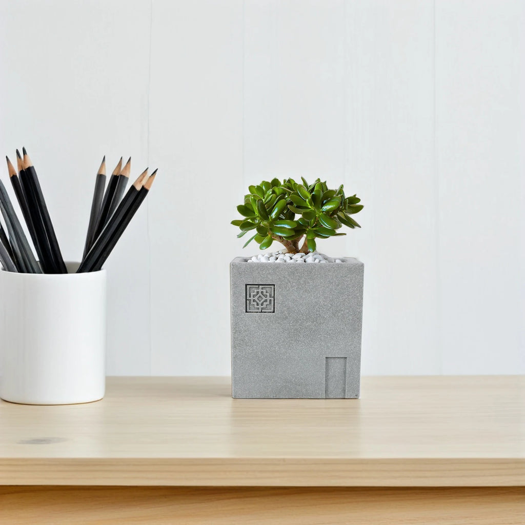 Stone Flower Pot Planter Decorative Sandstone Garden Bonsai Stand Powder Container Sturdy Microlandscape Base Funny