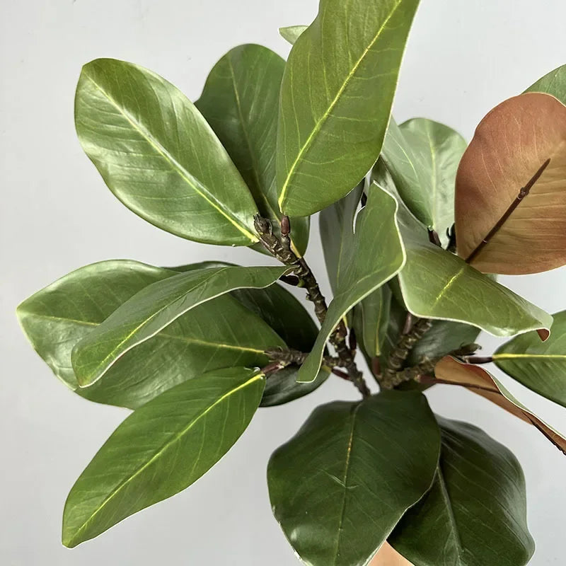 2pcs Artificial Flowers Magnolia Leaf Green Plants Plastic Simulation Magnolias Leaves Plant Floral Home Balcony Decoration