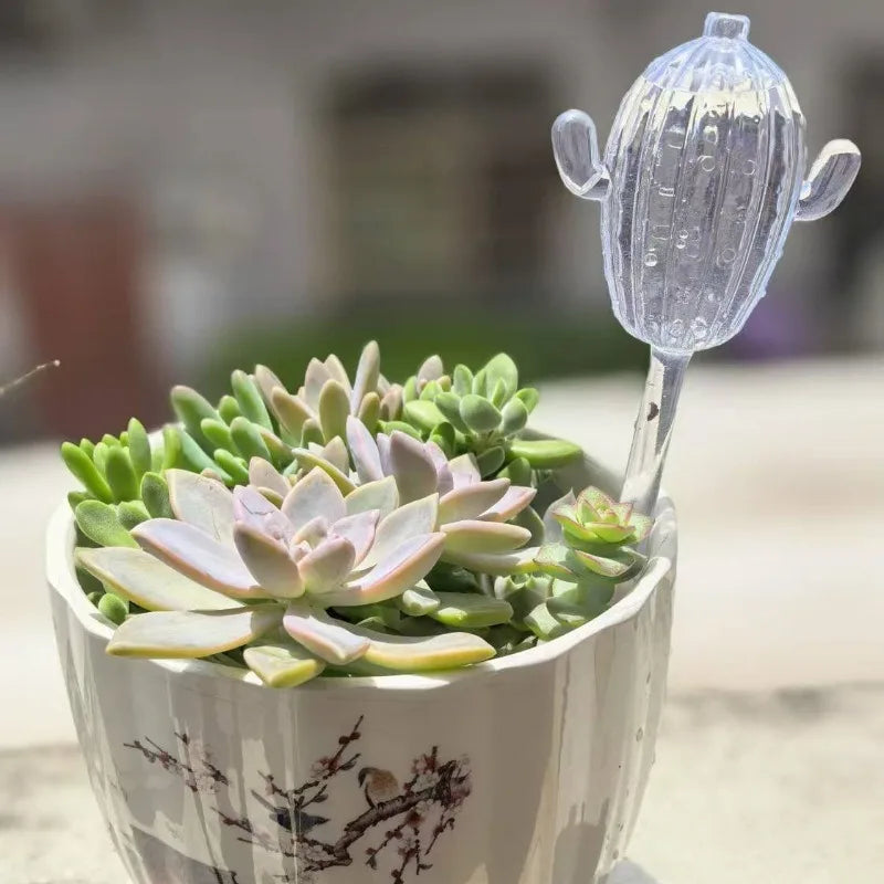 Unique Clear Plant Watering Can Cactus Shape Auto Irrigation Device Efficient Flows Water Tool Supply Outdoors Garden Equipment